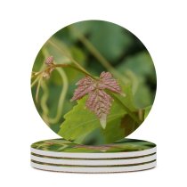 yanfind Ceramic Coasters (round)  Leaf Grape Grapes Leaves Wine Flower Plant Flowering Botany Nettle Family Family Game Intellectual Educational Game Jigsaw Puzzle Toy Set