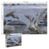 yanfind Picture Puzzle Whooper  Bird Fight Spring Lake Vertebrate Ducks Geese Swans Beak Tundra Family Game Intellectual Educational Game Jigsaw Puzzle Toy Set