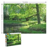 yanfind Picture Puzzle Summer  Warm Trees Botanic Garden Silence Natural Landscape Tree Forest Vegetation Family Game Intellectual Educational Game Jigsaw Puzzle Toy Set