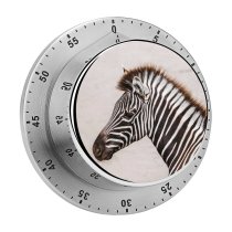 yanfind Timer Images Wildlife Wallpapers Grey Zebra Pictures Public Domain 60 Minutes Mechanical Visual Timer