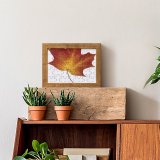 yanfind Picture Puzzle Leaf Autumn Dry Fall Tree Herbarium Maple Woody Plant Plane Deciduous Botany Family Game Intellectual Educational Game Jigsaw Puzzle Toy Set