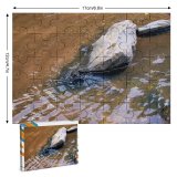 yanfind Picture Puzzle Clear Ripples Rock Pool River  Browns Watercourse Pond Family Game Intellectual Educational Game Jigsaw Puzzle Toy Set