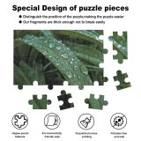 yanfind Picture Puzzle Dew  Drop Leaf Grass Terrestrial Plant Moisture Flower Stem Vascular Family Game Intellectual Educational Game Jigsaw Puzzle Toy Set