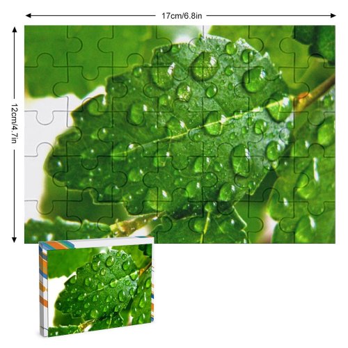 yanfind Picture Puzzle Leaf Plants Garden Chili Pepper Hojas Plantas Agua Maceta Dew Moisture Drop Family Game Intellectual Educational Game Jigsaw Puzzle Toy Set