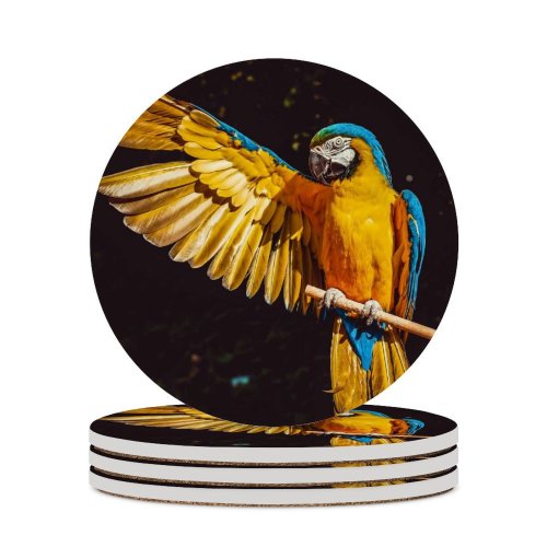 yanfind Ceramic Coasters (round) Black Dark Macaw Bird Colorful Parrot Family Game Intellectual Educational Game Jigsaw Puzzle Toy Set