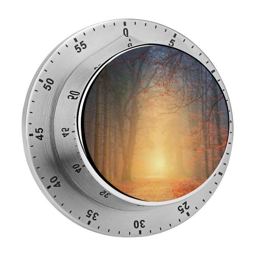 yanfind Timer Johannes Plenio Forest Autumn Foggy Dawn Pathway Road Fall Foliage 60 Minutes Mechanical Visual Timer