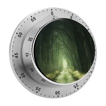 yanfind Timer Johannes Plenio Forest Path Fall Calm 60 Minutes Mechanical Visual Timer