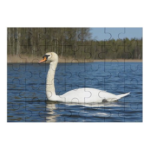 yanfind Picture Puzzle  Flock Mazury River Lake Lakes Krutyn Poland Bird Birds Vertebrate Ducks Family Game Intellectual Educational Game Jigsaw Puzzle Toy Set