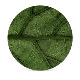 yanfind Ceramic Coasters (round) Clay Banks Leaf Veins Drops Macro Closeup Family Game Intellectual Educational Game Jigsaw Puzzle Toy Set