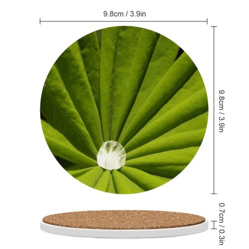 yanfind Ceramic Coasters (round) Sparkling Waterdrop Leaf Forest Lonely Plant Botany Terrestrial Stem Flower Symmetry Macro Family Game Intellectual Educational Game Jigsaw Puzzle Toy Set