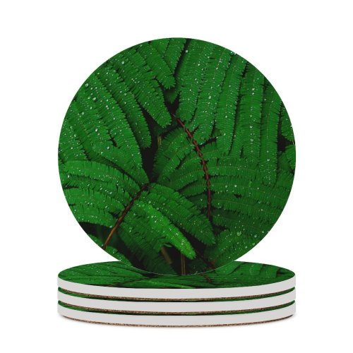 yanfind Ceramic Coasters (round) Luca Bravo Plant Leaves Branches  Droplets Dew Drops Family Game Intellectual Educational Game Jigsaw Puzzle Toy Set