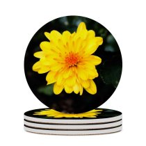 yanfind Ceramic Coasters (round) Plants Images Wallpapers Plant Asteraceae  Flower Daisy Pollen Petal Daisies Free Family Game Intellectual Educational Game Jigsaw Puzzle Toy Set