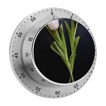yanfind Timer Images Arrangement Bouquet Spring Wallpapers Plant Tulip Bloom Free Pictures Tulips Flower 60 Minutes Mechanical Visual Timer