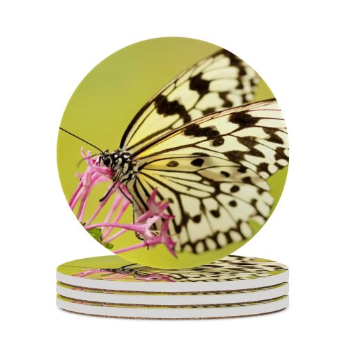 yanfind Ceramic Coasters (round) Images Taiwan Insect Spring Wing Wallpapers Borisworkshop Bloom Free Monarch Invertebrate Pictures Family Game Intellectual Educational Game Jigsaw Puzzle Toy Set