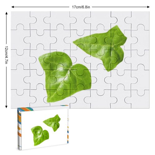 yanfind Picture Puzzle Leaf Spring Garden Ivy Hedera Leaves Plant Flower Flowering Herb Family Alismatales Family Game Intellectual Educational Game Jigsaw Puzzle Toy Set