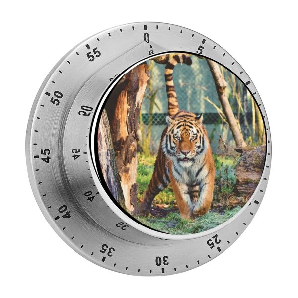 yanfind Timer  Trees Big Cat Carnivore  Wildlife 60 Minutes Mechanical Visual Timer