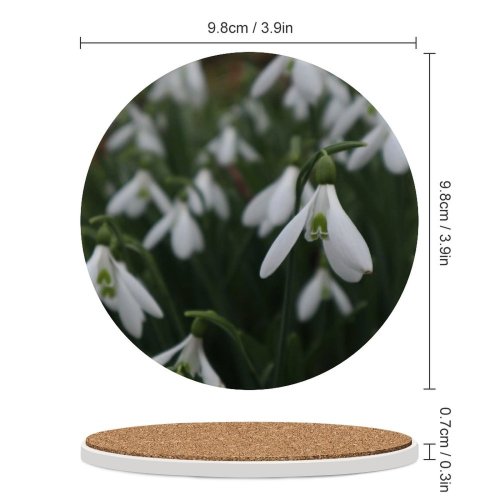 yanfind Ceramic Coasters (round) Images Spring Flowers Snow Snowdrop Wallpapers Plant Bulbs Amaryllidaceae Free Gardens Snowdrops Family Game Intellectual Educational Game Jigsaw Puzzle Toy Set