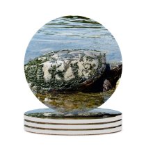 yanfind Ceramic Coasters (round) Turtle Turtles Reptiles Reptile Wildlife River Old Mud Muddy Pond Tortoise Family Game Intellectual Educational Game Jigsaw Puzzle Toy Set