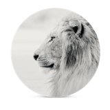 yanfind Ceramic Coasters (round) Images Public Africa Wallpapers Wildlife Safari Profile  Away Pictures Mane Big Family Game Intellectual Educational Game Jigsaw Puzzle Toy Set