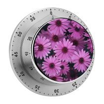 yanfind Timer Yousef Espanioly Flowers Daisies Spring  Bloom Closeup Floral Beautiful 60 Minutes Mechanical Visual Timer