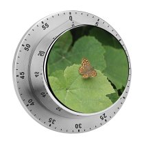 yanfind Timer  Leaf Grapes Grape Wine Leaves Butterfly Cynthia (subgenus) Comma Insect Moths 60 Minutes Mechanical Visual Timer