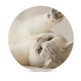 yanfind Ceramic Coasters (round) Cute Kitten Kitty Cat Family Game Intellectual Educational Game Jigsaw Puzzle Toy Set