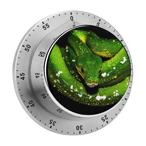 yanfind Timer Black Dark Tree  Snake  Drops Dark 60 Minutes Mechanical Visual Timer