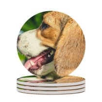 yanfind Ceramic Coasters (round) Images Pet HQ Snout Hound Public Wallpapers Outdoors Beagle Active Pictures Walk Family Game Intellectual Educational Game Jigsaw Puzzle Toy Set