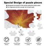 yanfind Picture Puzzle Leaf Autumn Dry Fall Tree Herbarium Maple Woody Plant Plane Deciduous Botany Family Game Intellectual Educational Game Jigsaw Puzzle Toy Set