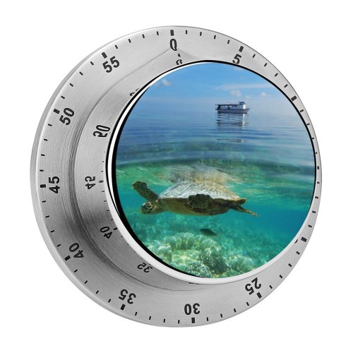 yanfind Timer Above Hawksbill Turtle Below Polyp Snorkeling Hemisphere Lagoon December Palm Reef Sand 60 Minutes Mechanical Visual Timer