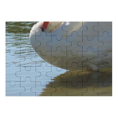yanfind Picture Puzzle  Lake Indiana Summer Bird Vertebrate Beak Ducks Geese Swans Reflection Waterfowl Family Game Intellectual Educational Game Jigsaw Puzzle Toy Set