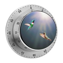 yanfind Timer Emerald Non Glowing Ruby Way Wing Beam Spread Bird Urban Togetherness Hovering 60 Minutes Mechanical Visual Timer