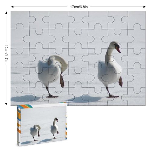 yanfind Picture Puzzle   Lake Frozen Winter Birds Snow Bird Beak Ducks Geese Swans Family Game Intellectual Educational Game Jigsaw Puzzle Toy Set