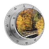 yanfind Timer Vermont Leaves Fall  Leaf Tree Autumn Colorful Natural Landscape Sky Deciduous 60 Minutes Mechanical Visual Timer