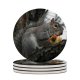 yanfind Ceramic Coasters (round) Squirrel Tree Wildlife Grey  Vertebrate Fox Ground Squirrels Rodent Snout Family Game Intellectual Educational Game Jigsaw Puzzle Toy Set