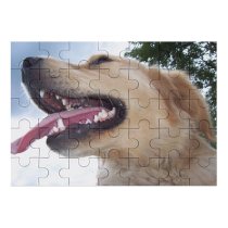 yanfind Picture Puzzle Dog Dogs Golden Vertebrate Canidae Facial Expression Snout Nose Carnivore Family Game Intellectual Educational Game Jigsaw Puzzle Toy Set
