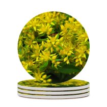 yanfind Ceramic Coasters (round) Planter Images Photo Bush Pottery Potted Flowers Macro Jar Herbs Grass Vase Family Game Intellectual Educational Game Jigsaw Puzzle Toy Set