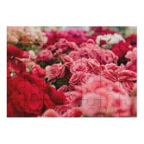 yanfind Picture Puzzle Gustavo Tabosa Flowers Flowers  Flower Garden Colorful Tuberous Begonia Spring Family Game Intellectual Educational Game Jigsaw Puzzle Toy Set