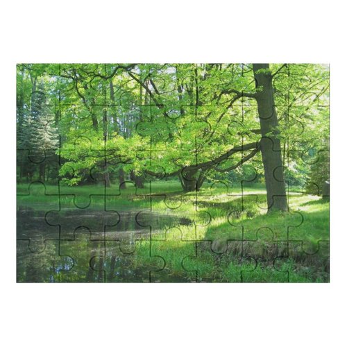 yanfind Picture Puzzle Summer  Warm Trees Botanic Garden Silence Natural Landscape Tree Forest Vegetation Family Game Intellectual Educational Game Jigsaw Puzzle Toy Set