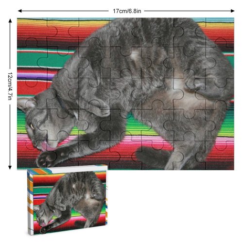 yanfind Picture Puzzle Cat  Grey Cleaning Clean Mexico Mexican Vertebrate Medium Sized Cats Felidae Family Game Intellectual Educational Game Jigsaw Puzzle Toy Set