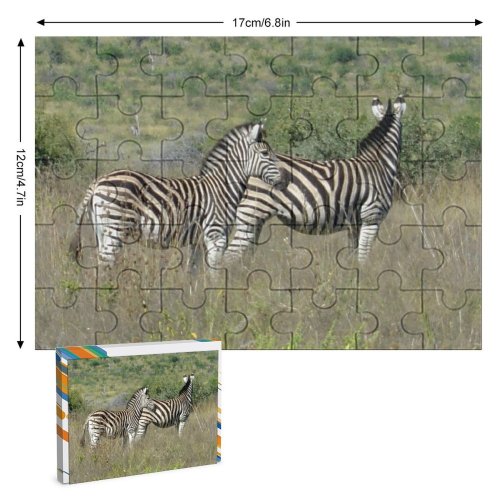 yanfind Picture Puzzle Zebras Zebra Wild Outdoors Africa Safari Pilansberg Terrestrial Wildlife Vertebrate Grassland Plant Family Game Intellectual Educational Game Jigsaw Puzzle Toy Set