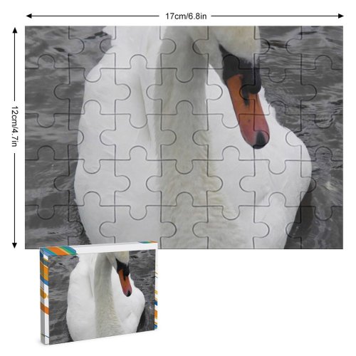 yanfind Picture Puzzle  Lake Bird Beak Ducks Geese Swans Waterfowl Neck Duck Family Game Intellectual Educational Game Jigsaw Puzzle Toy Set