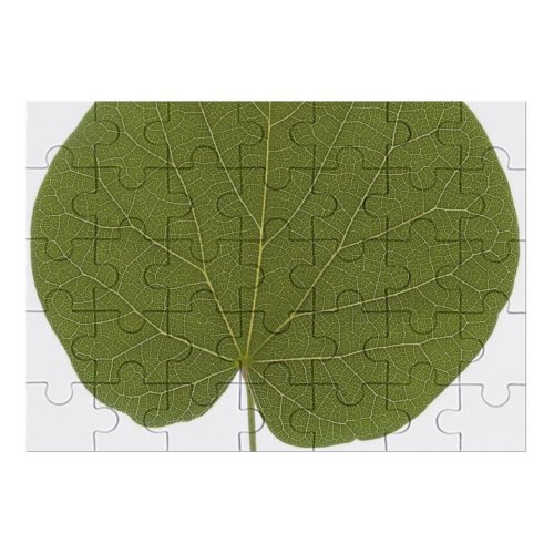 yanfind Picture Puzzle Leaf Texture Plant Flower Tree  Auritum Flowering Pathology Anthurium Bud Family Game Intellectual Educational Game Jigsaw Puzzle Toy Set