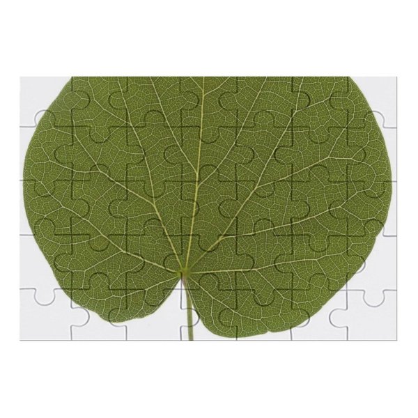 yanfind Picture Puzzle Leaf Texture Plant Flower Tree  Auritum Flowering Pathology Anthurium Bud Family Game Intellectual Educational Game Jigsaw Puzzle Toy Set