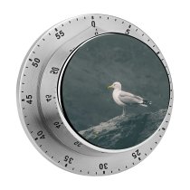 yanfind Timer Shoreline Images Feathers Shore Seagull Wild Bill Wallpapers Sea Wildlife Stock Free 60 Minutes Mechanical Visual Timer
