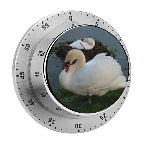 yanfind Timer Swans Birds Nesting  Swim Eggs Bird  Vertebrate Ducks Geese Beak 60 Minutes Mechanical Visual Timer