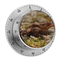 yanfind Timer Relaxing Images  Go Frog Toad Grumpy Public Lizard Wildlife Reptile Away 60 Minutes Mechanical Visual Timer