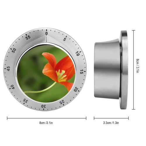 yanfind Timer Tulip Flower Flowering Plant Petal Botany Pedicel Stem 60 Minutes Mechanical Visual Timer
