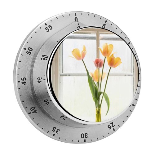 yanfind Timer Images Arrangement Spring Petal Pottery Flowers Ikebana Jar Wallpapers Vase Plant Decor 60 Minutes Mechanical Visual Timer