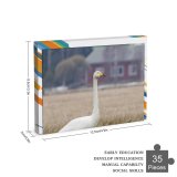 yanfind Picture Puzzle Whooper  Bird Field Winter Beak Grass Ducks Geese Swans Atmospheric Wildlife Family Game Intellectual Educational Game Jigsaw Puzzle Toy Set